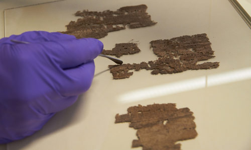 Conservation team restoring papyrus