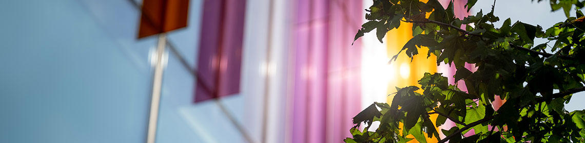 Tree branch in sunlight against a Eddie Davies Library with colourful vertical panels