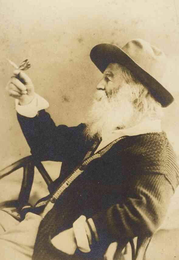Photograph of writer Walt Whitman in profile, wearing a hat, with a butterfly perched on his finger