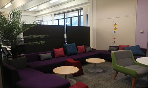 Purple sofa with orange and green cushions by a plant in Library Living Room.